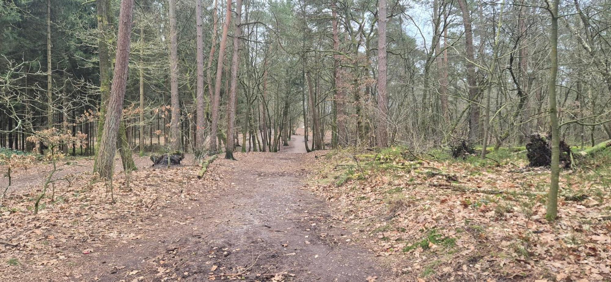 Het Veluwse Boshuisje Knus Chalet Met Omheinde Tuin Op De Veluwe Hoenderloo Exteriér fotografie