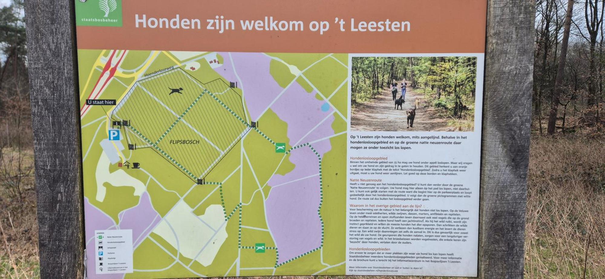 Het Veluwse Boshuisje Knus Chalet Met Omheinde Tuin Op De Veluwe Hoenderloo Exteriér fotografie